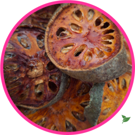 Fruit de Bael